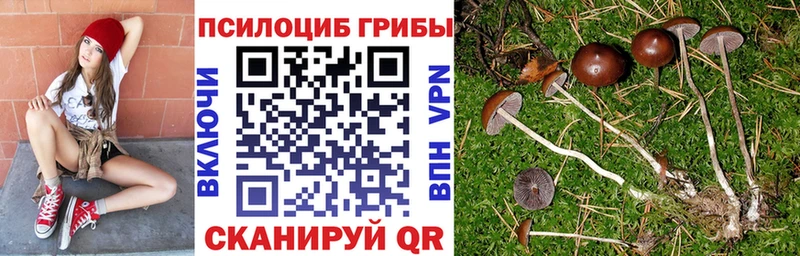 Псилоцибиновые грибы ЛСД  shop состав  Можайск 