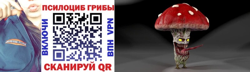 Галлюциногенные грибы Psilocybine cubensis Можайск