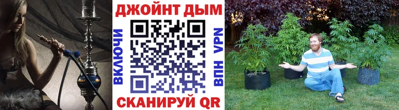 Бошки Шишки планчик  Можайск 